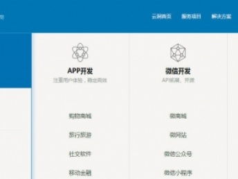 上海金融软件定制开发 专业服务，实地考察助推项目落地